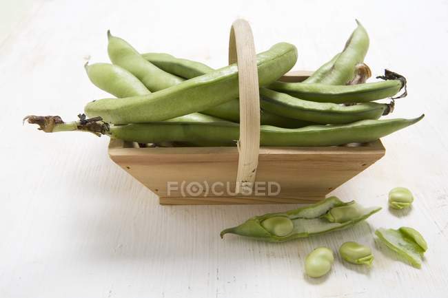 Fresh Broad beans in wooden basket — Stock Photo