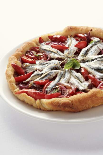 Pizza Marinara mit Sardellen — Stockfoto