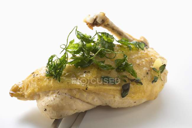 Hühnerbrust mit frittierter Petersilie — Stockfoto