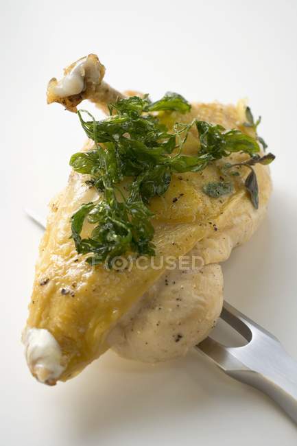 Pechuga de pollo con perejil frito - foto de stock