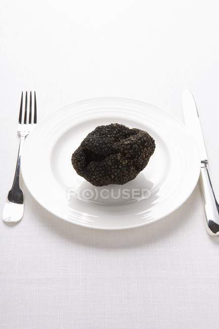 Свежий черный трюфель на белой тарелке — стоковое фото