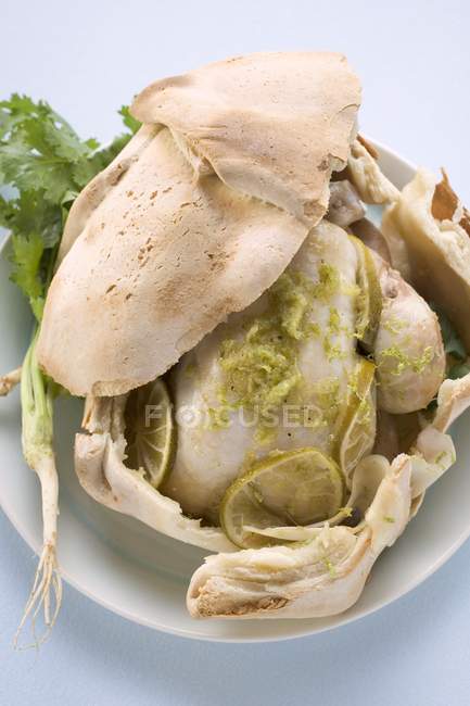 Lime chicken in pastry crust — Stock Photo