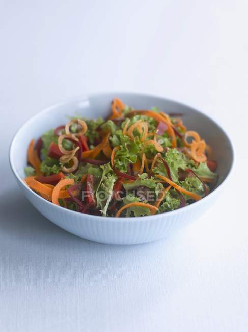 Маленький зеленый салат с морковными лентами на белой тарелке на белой поверхности — стоковое фото