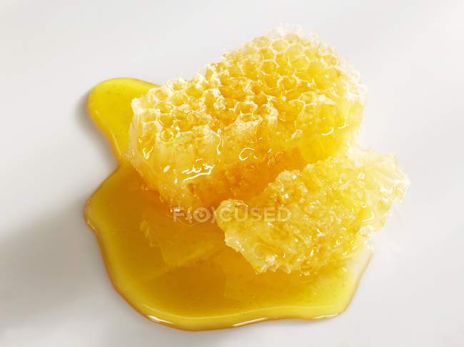 Nid d'abeille au miel sur fond blanc — Photo de stock