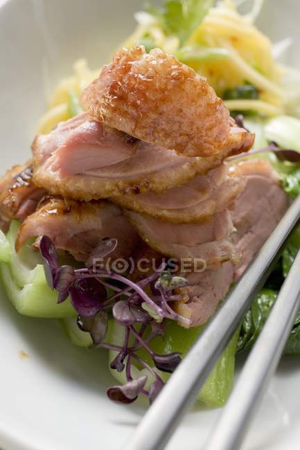 Duck breast on vegetables — Stock Photo