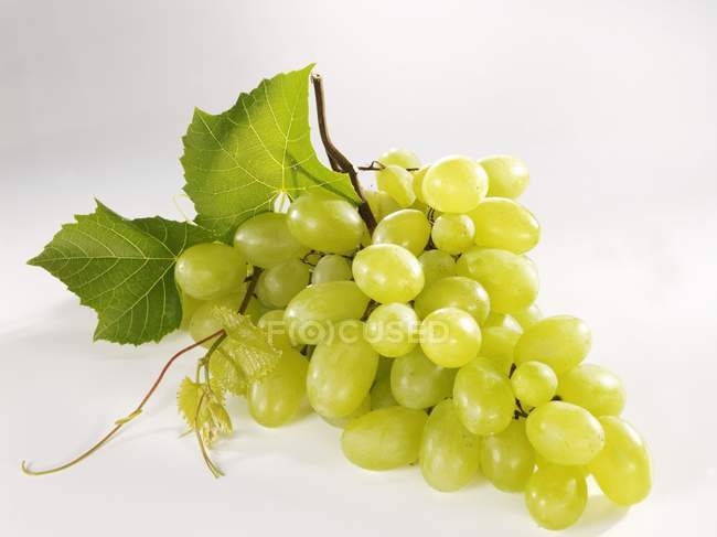Uvas verdes com folhas — Fotografia de Stock