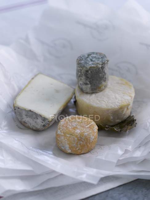 Cuatro tipos diferentes de queso - foto de stock