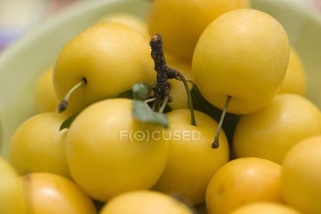 Fresh mirabelles in a dish — Stock Photo
