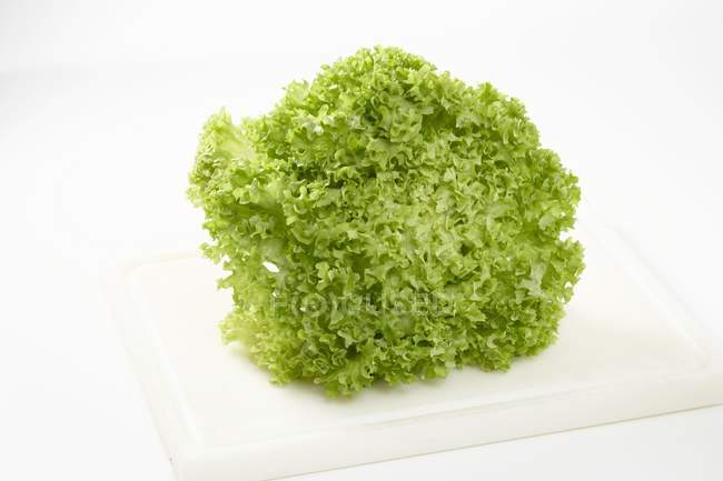 Lollo bionda lettuce — Stock Photo