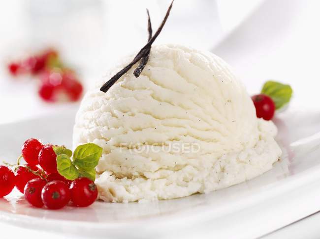 Vegan Vanilla Ice Cream | Classic Bakes