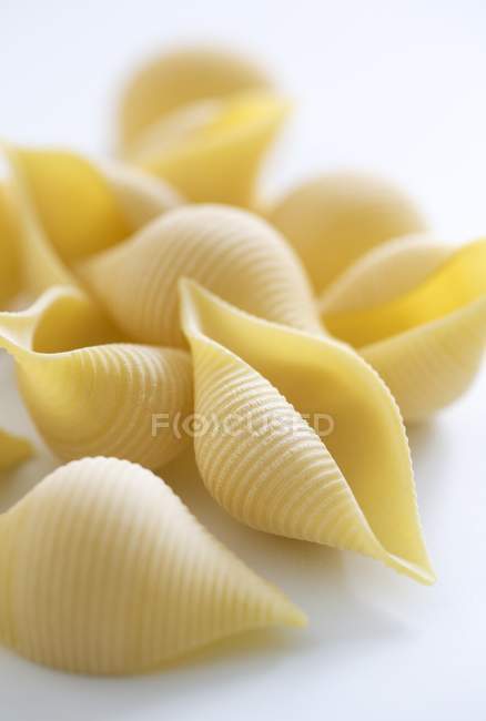 Conchiglioni rigati pasta — стоковое фото