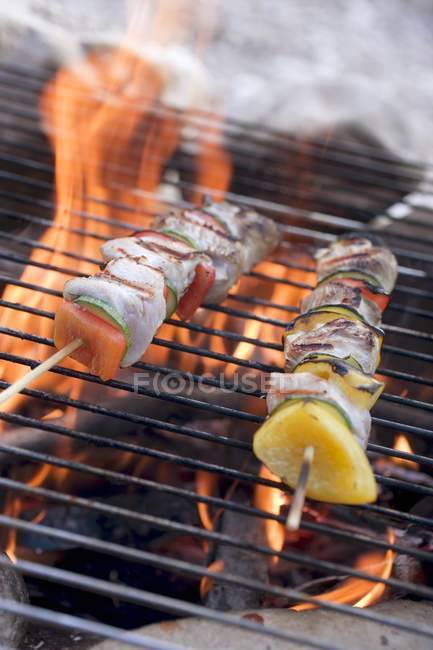 Vista close-up de kebabs de aves em churrasqueira grelha rack — Fotografia de Stock