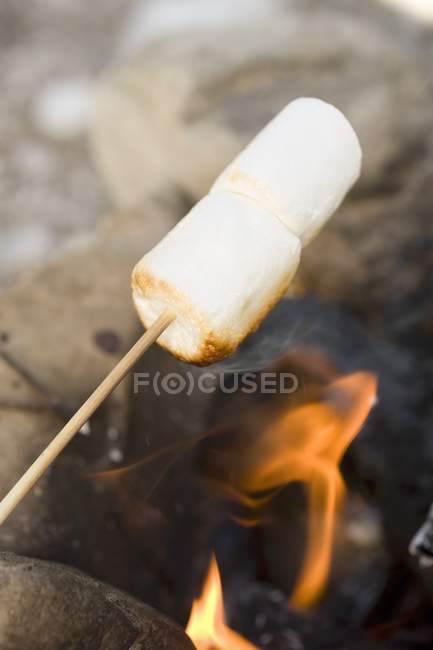 Marshmallows sobre o fogo — Fotografia de Stock