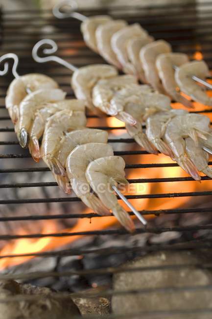 Vista close-up de kebabs de camarão no churrasco grelhador — Fotografia de Stock