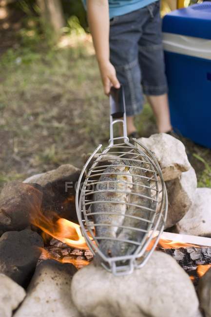Visão diurna do menino grelhar peixes sobre fogueira — Fotografia de Stock