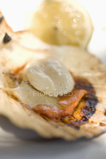 Closeup view of grilled scallop on shell — Stock Photo