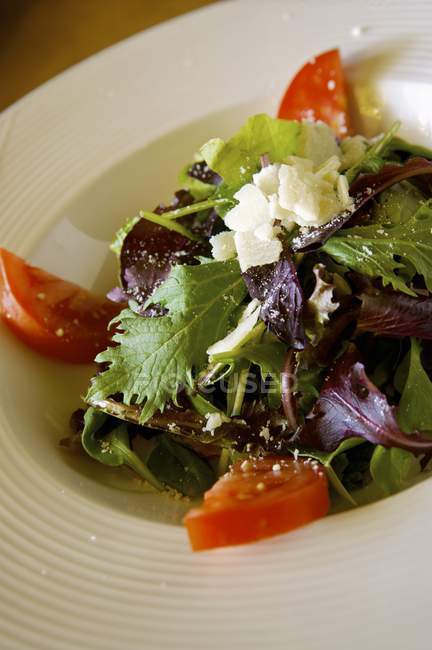 Salade aux verts mélangés — Photo de stock