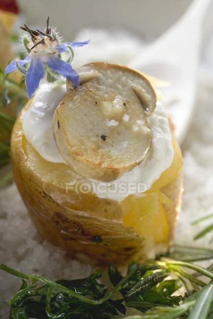 Ofenkartoffel mit Steinpilz — Stockfoto