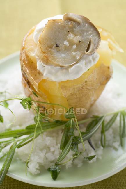 Baked potato with cep — Stock Photo