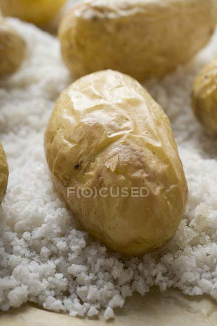 Pommes de terre au four au sel — Photo de stock