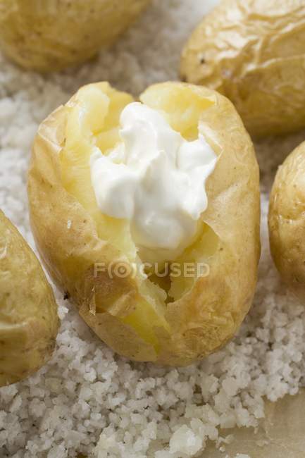 Freshly baked potatoes with sour cream — Stock Photo
