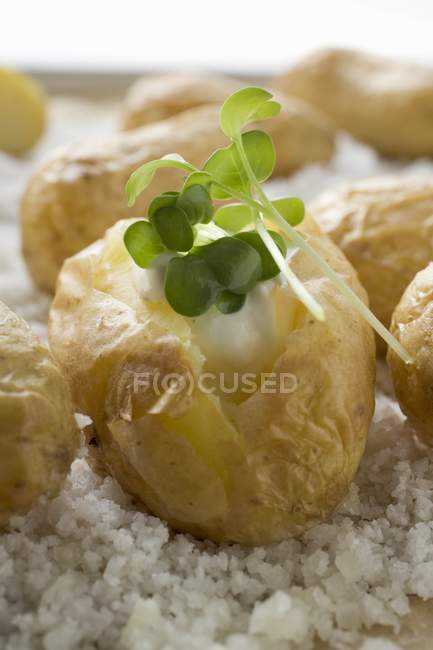 Baked potatoes with sour cream — Stock Photo