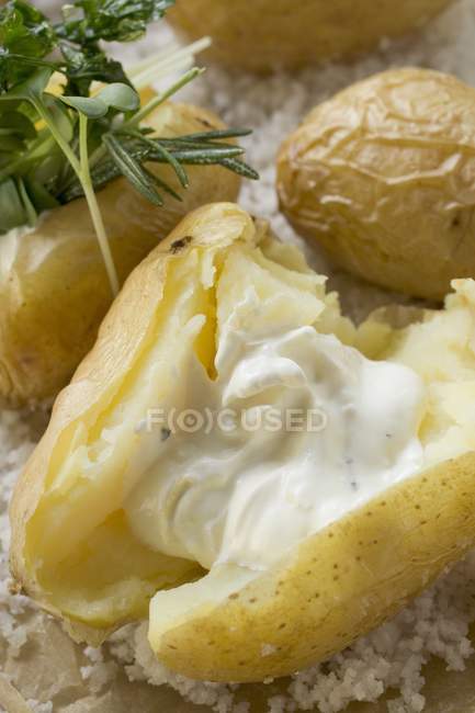 Pommes de terre au four à la crème sure — Photo de stock