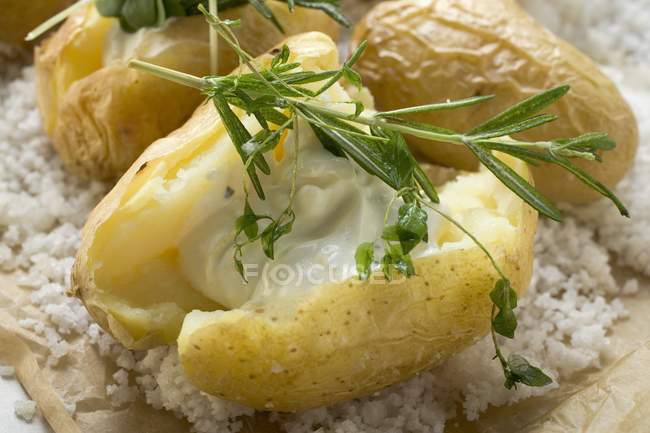 Baked potatoes with sour cream — Stock Photo