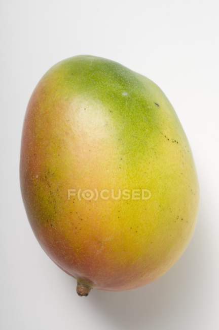 Mango fresco maduro - foto de stock