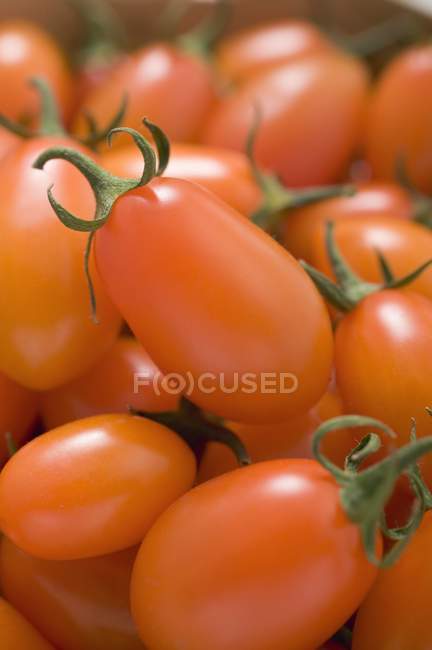 Tomates cereja na cesta — Fotografia de Stock