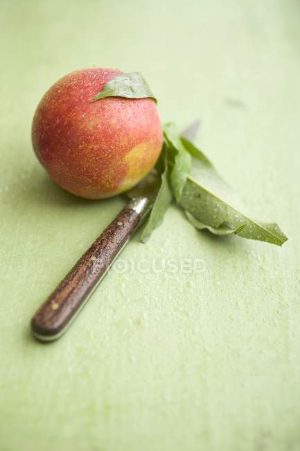 Нектарин с листьями и ножом — стоковое фото