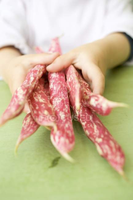 Childs hands holding borlotti beans — Stock Photo