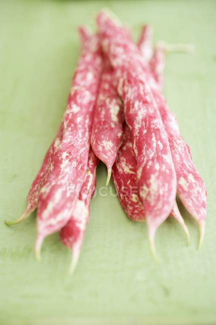 Fresh borlotti beans — Stock Photo