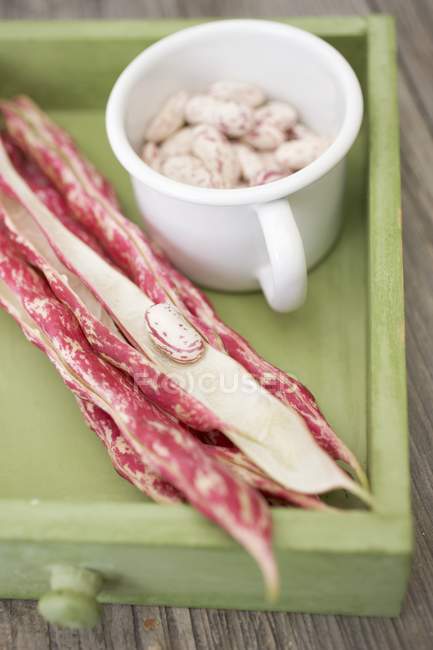 Borlotti beans in cup with pods — Stock Photo