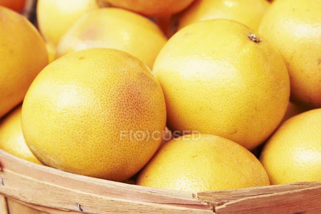 Basket of fresh Florida Grapefruit — Stock Photo