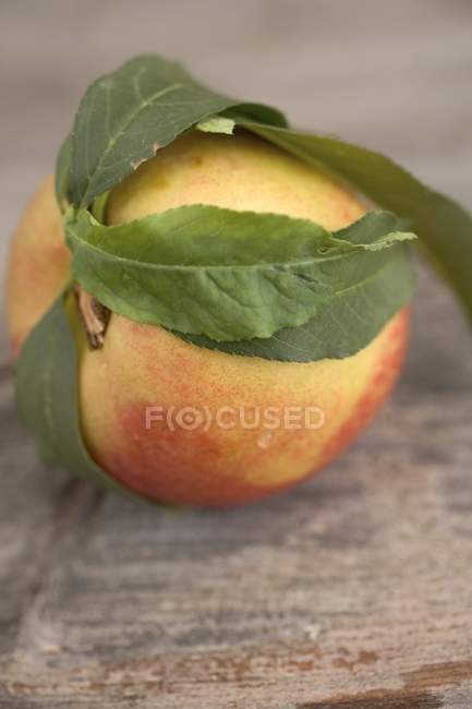 Nectarina fresca colhida — Fotografia de Stock
