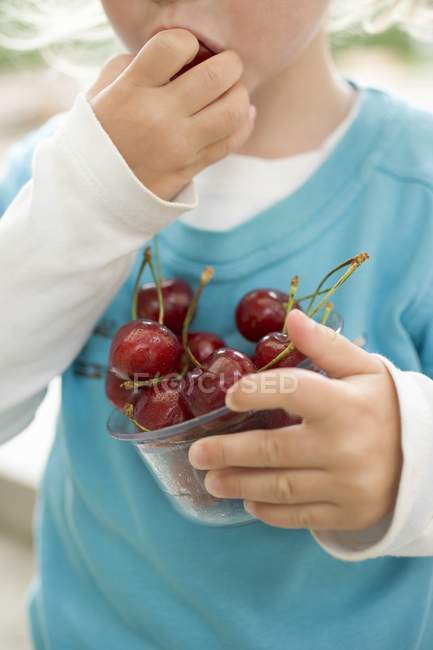 Niño comiendo cerezas frescas - foto de stock