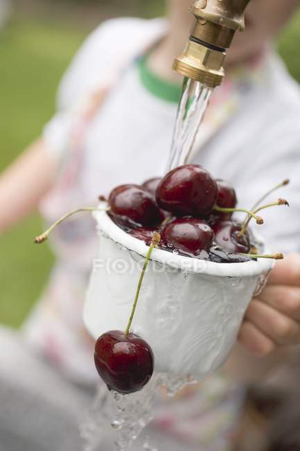 Child washing cherries under tap — Stock Photo