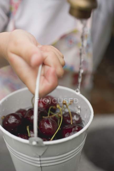 Женщина стирает вишни в ведре — стоковое фото