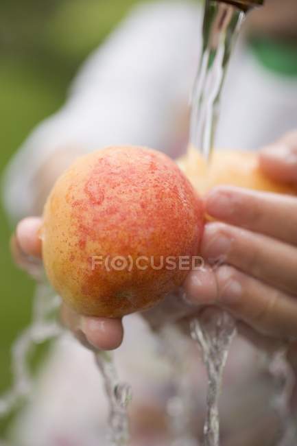 Child washing nectarines — Stock Photo
