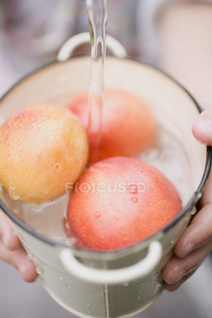 Hands Washing nectarines — Stock Photo