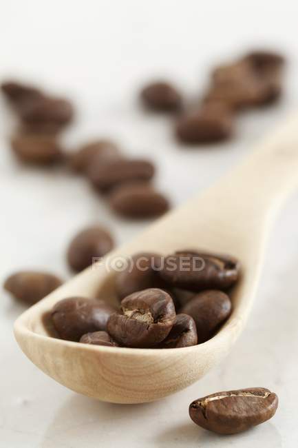 Grãos de café em colher de madeira — Fotografia de Stock