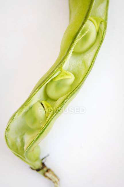 Fresh Broad beans in pod — Stock Photo