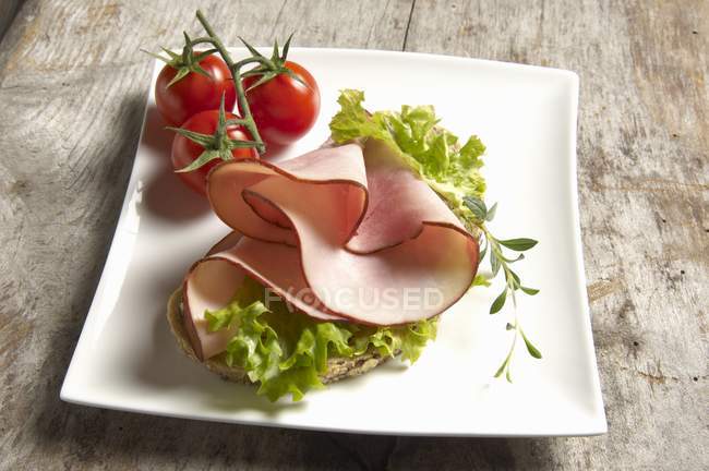 Открытый бутерброд — стоковое фото