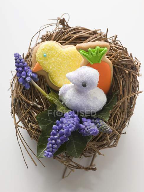 Chick in nest on white — Stock Photo