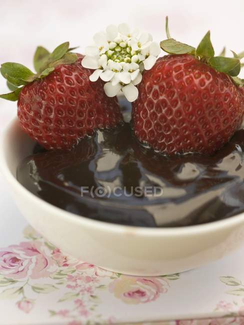 Strawberries in chocolate sauce — Stock Photo