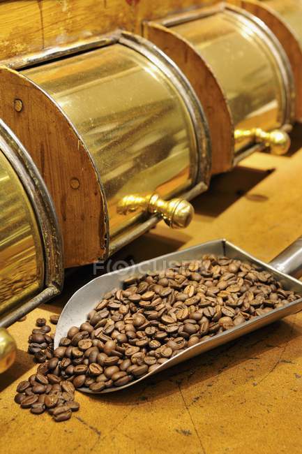 Металева ложка з кавовими зернами — стокове фото