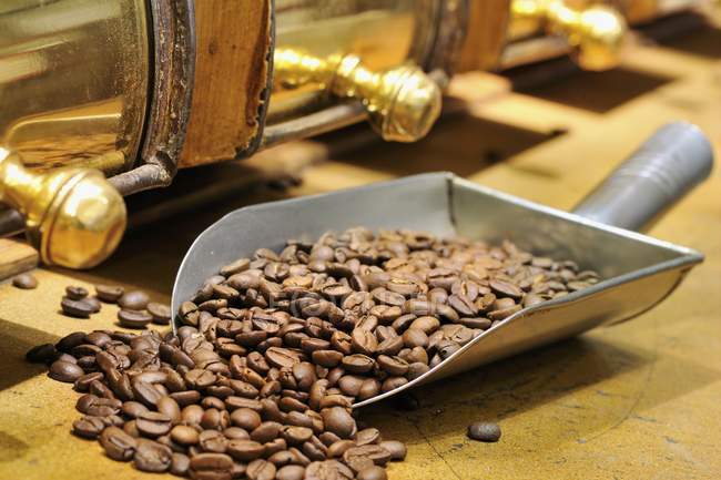 Grains de café en cuillère en métal — Photo de stock