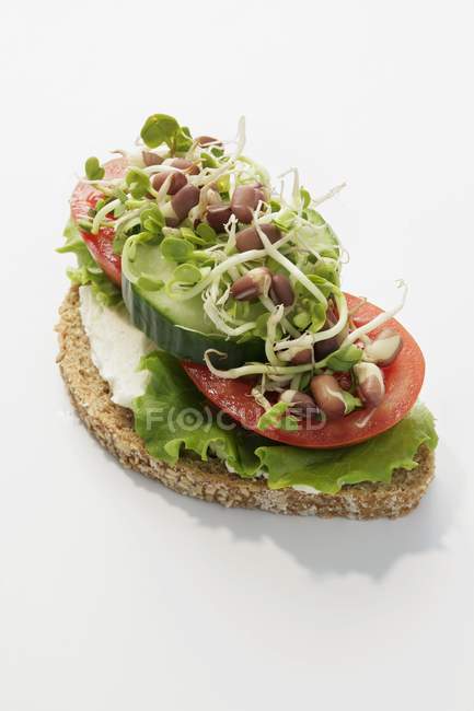 Wholemeal bread topped with tomatoes — Stock Photo