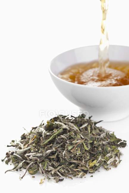 Verser le thé blanc — Photo de stock